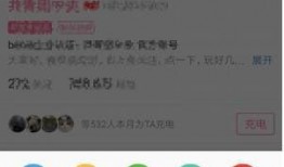 哔哩哔哩 黑料索引,黑料索引背后的真相与争议